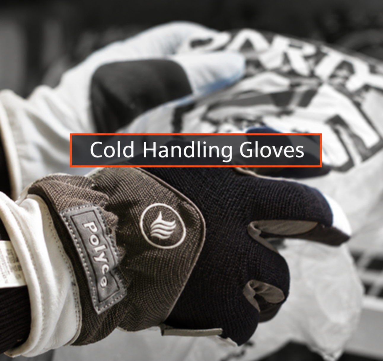 Cold Handling Gloves