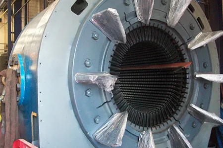 A stripped stator alternator
