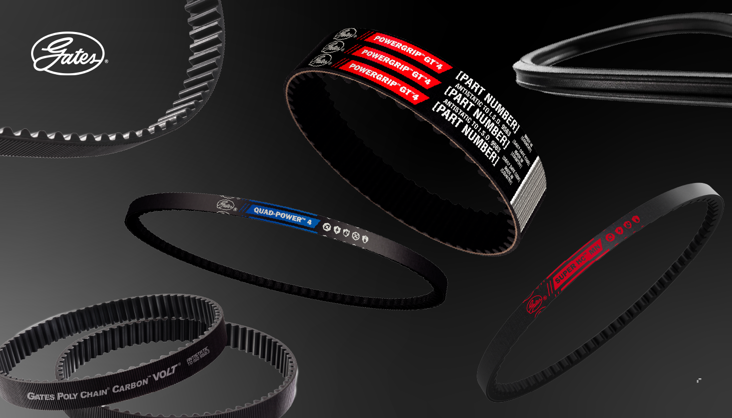 PT_Belts_Banner_2.png